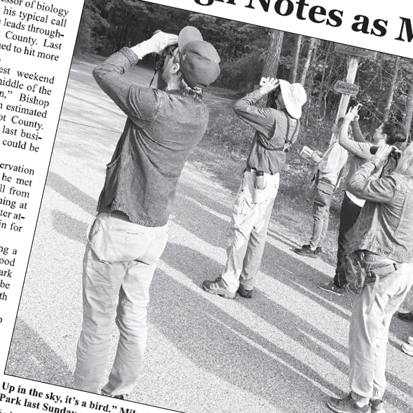 a group of people bird watching